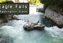 eagle falls washington