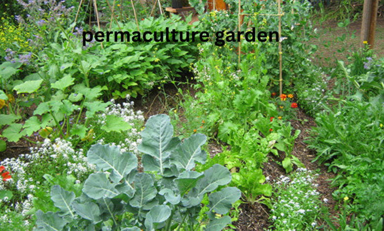 permaculture garden