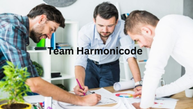 Team Harmonicode