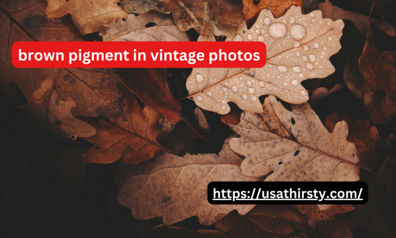 brown pigment in vintage photos