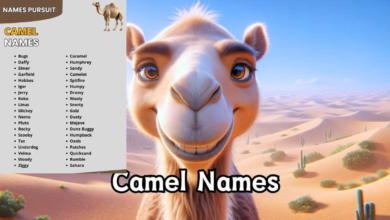 camel names